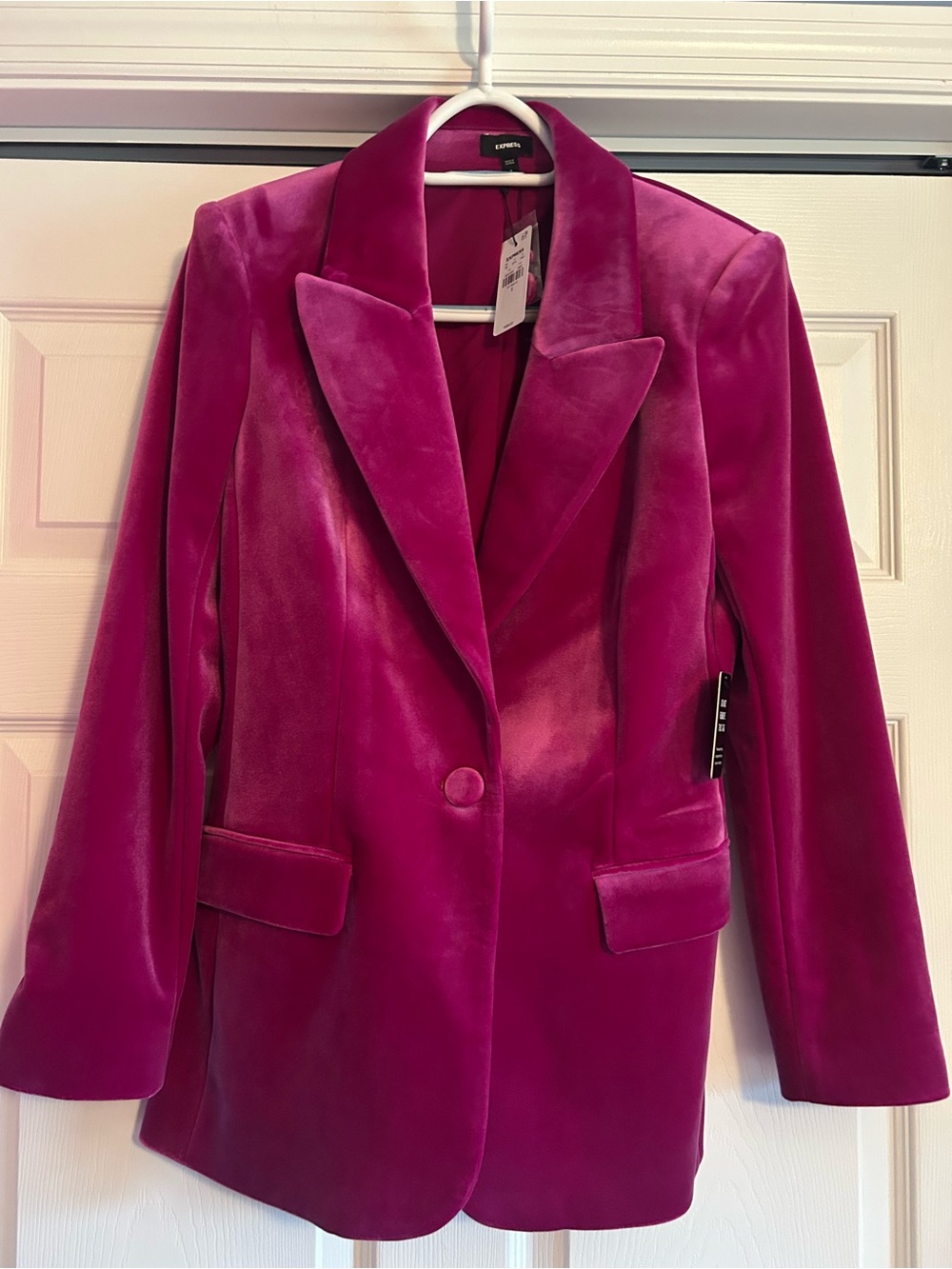 Express Velvet Blazer Jacket - Fuchsia
